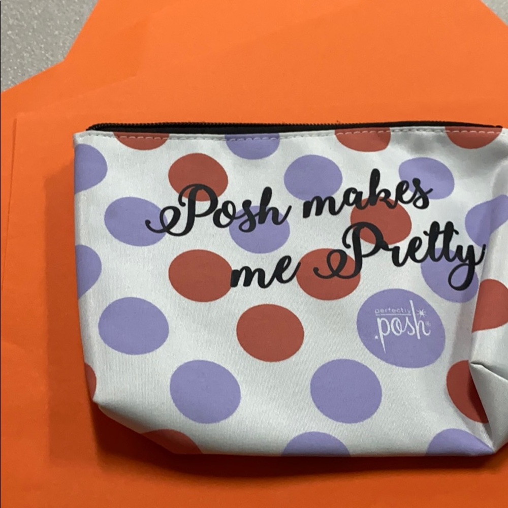 Posh Make-Up Bag